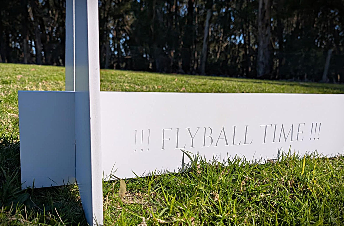 optional text carved into PVC baseboard of a flyball jump
