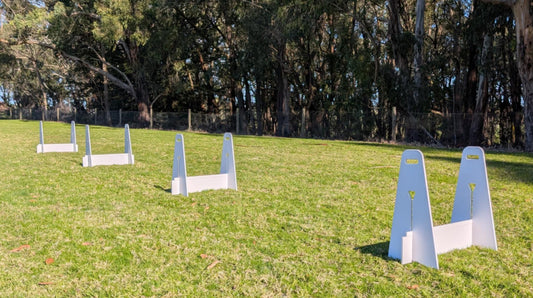 full set of PVC foam board flyball jump – lightweight, durable, white, full set 